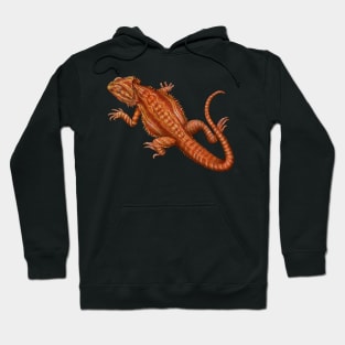 Bearded Dragon Hoodie